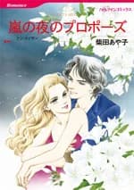 Arashi no Yoru no Propose