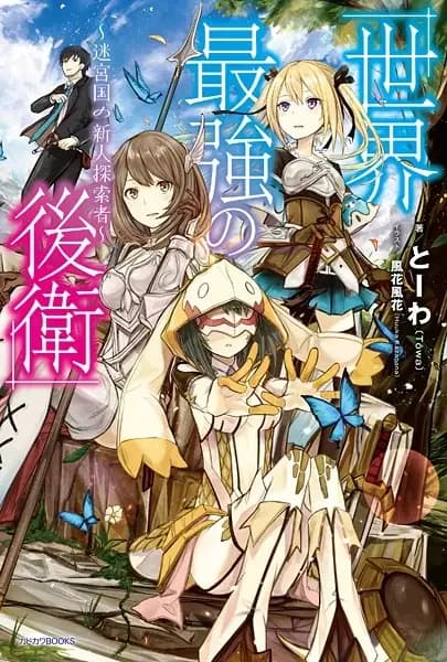The World's Strongest Rearguard: Labyrinth Country's Novice Seeker