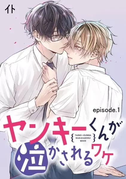 Yankee-kun ga Nakasareru Wake