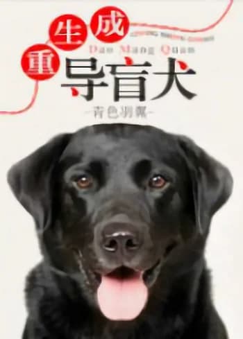The Seeing Eye Dog