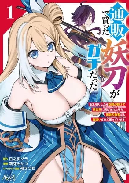Tsuuhan de Katta Youtou ga Gachi Datta: Tameshigiri shitara Kuukan ga Sakete Isekai ni Tobasareta Ageku, Densetsu no Yuusha dato Kanchigai sarete Komatteimasu