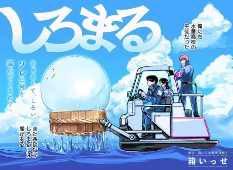 SHIROMARU