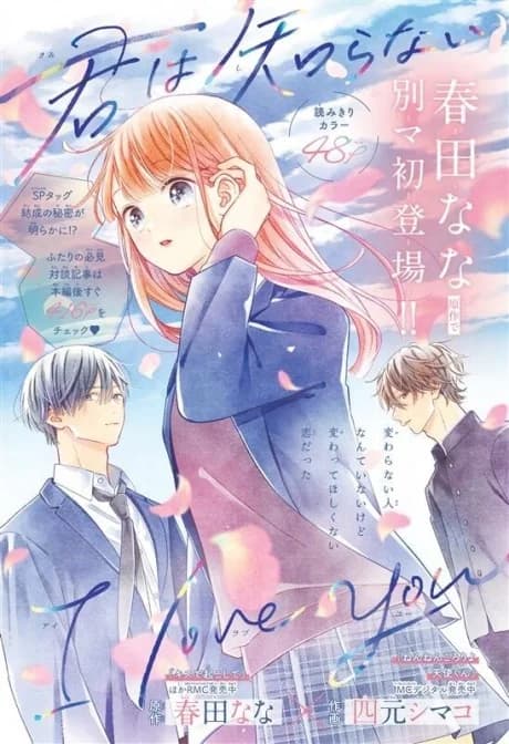 Kimi wa Shiranai I Love You