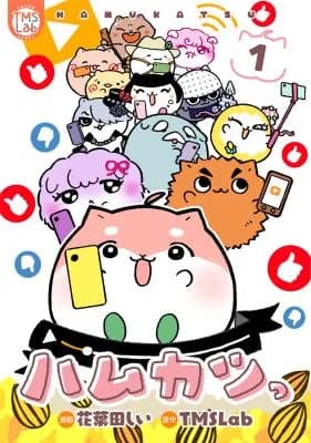 Hamukatsu