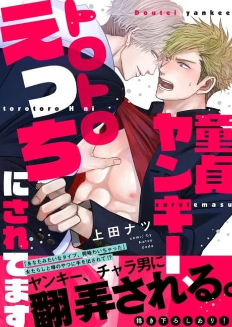 Doutei Yankee, Torotoro Ecchi ni Saretemasu