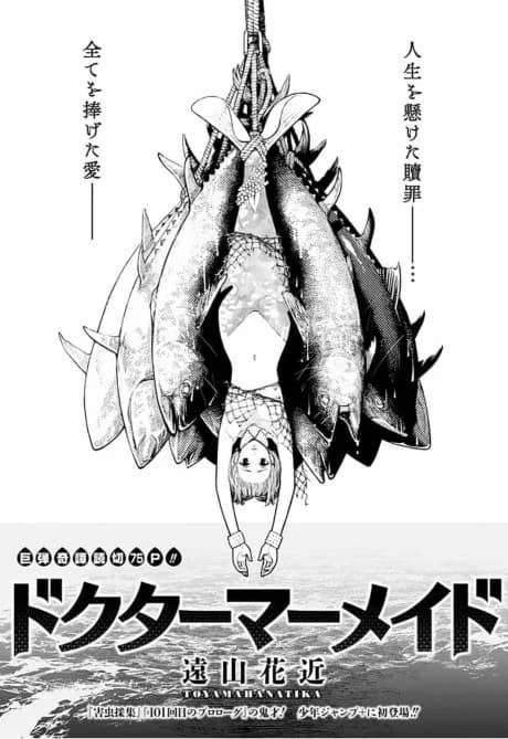 Doctor Mermaid