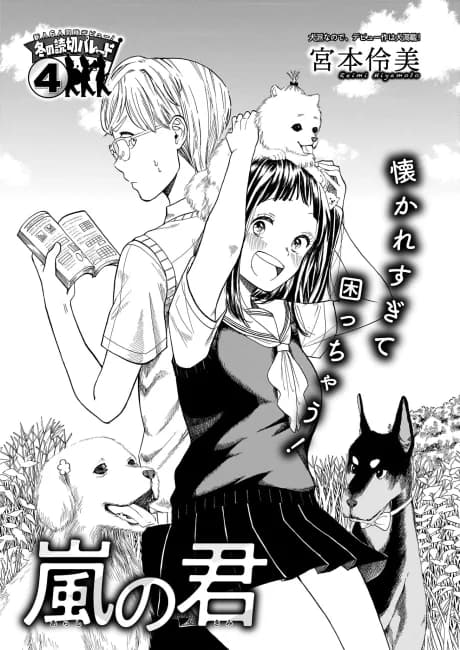 Arashi no Kimi