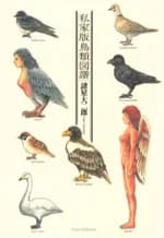 Chouruizufu