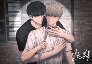 Same Type