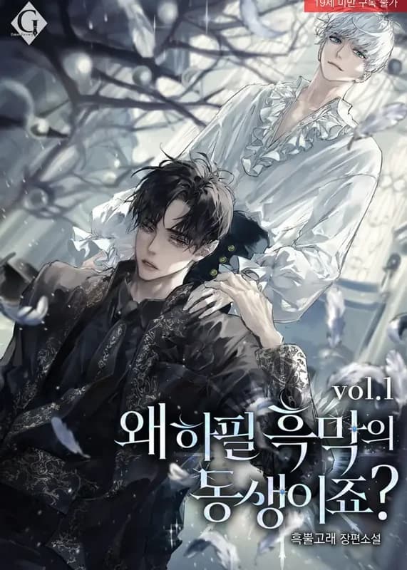 Why Did I Have to Transmigrate as the Villain’s Younger Brother?
