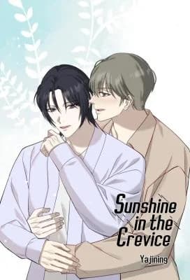 Sunshine in the Crevice