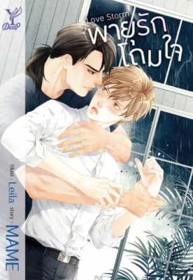 Love Storm