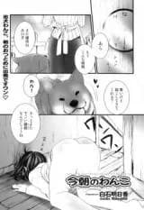 The Dog’s Morning