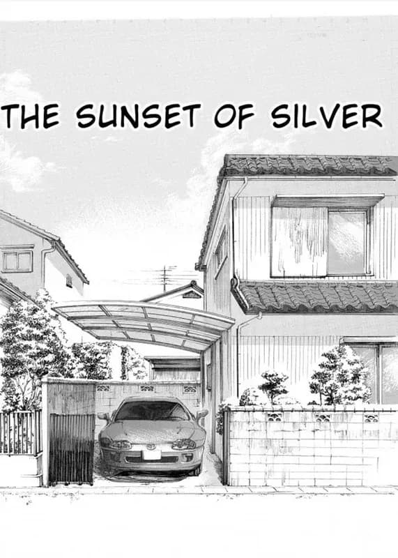 The Sunset of Silver