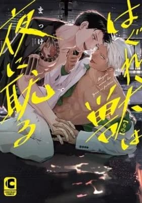 Haguremono wa Yoru ni Fukeru