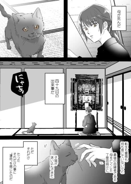 Neko to Ko to Haha
