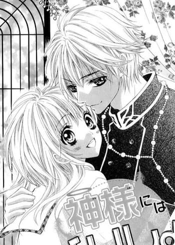 Kamisama niwa Naisho