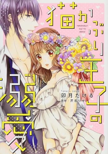 Nekokaburi Ouji no Dekiai