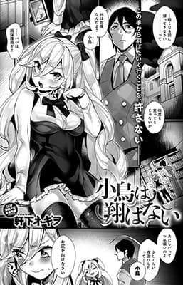 Kotori wa Tobanai