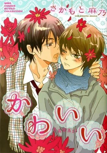 Kawaii (Mano SAKAMOTO)