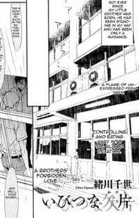 Ibitsu Na Kakera
