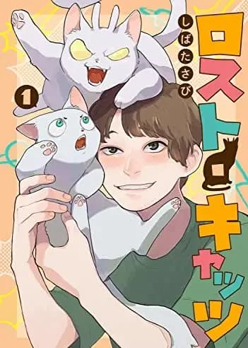 Lost Cats
