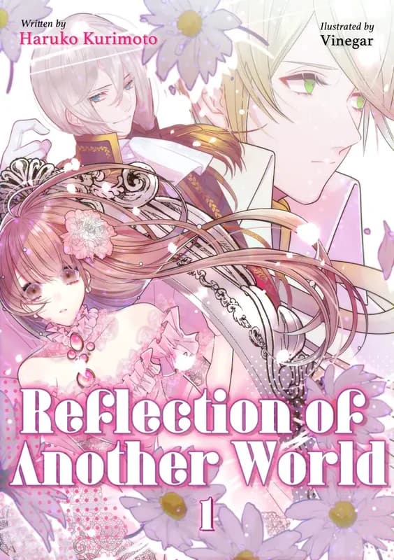 Reflection of Another World