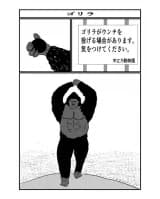 Gorilla