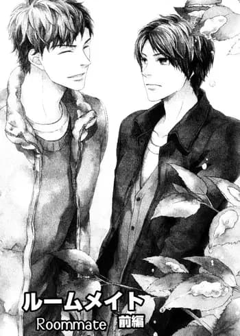 Roommate