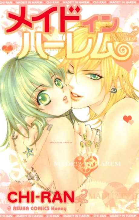 Made in Harem