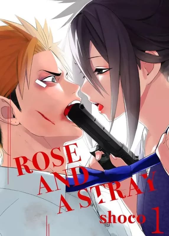 Rose And A Stray