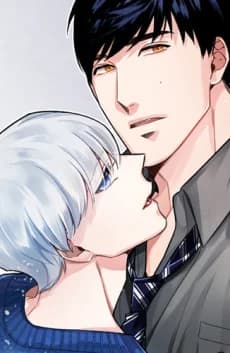 A Typical Romance