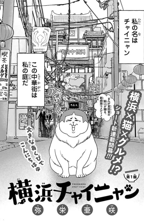 Yokohama Chai-nyan