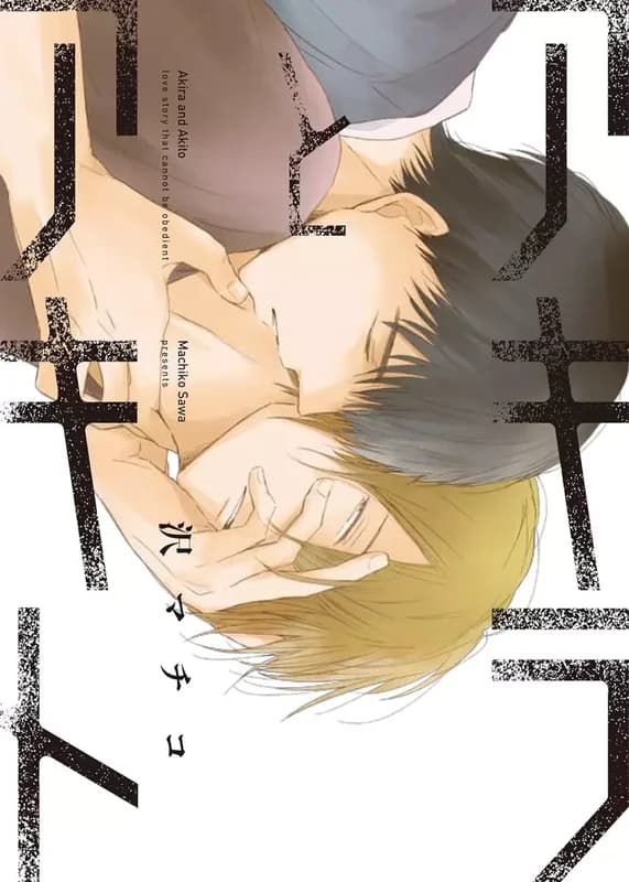 Akira to Akito