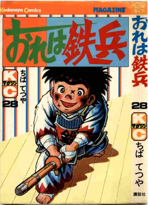 Volumen 28