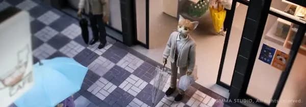 Me convertí en un gato
