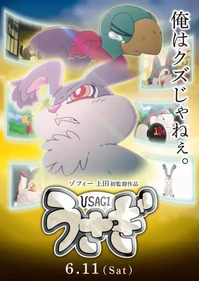 Usagi