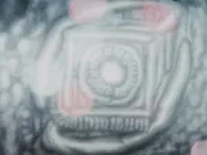 Yoru no Hitomi