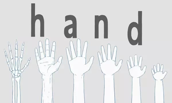 Hand