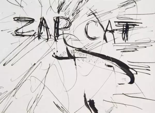 Zap Cat