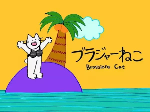Brassiere Cat