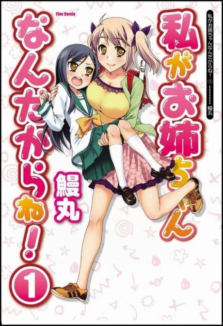 Watashi ga Oneechan Nan Dakara ne!