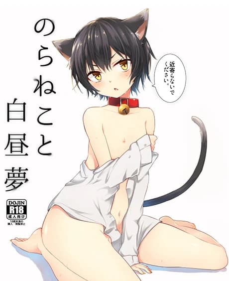 Noraneko to Hakuchuumu
