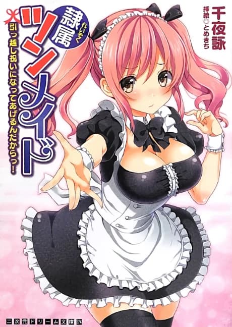 Reizoku Tsun-Maid: Hikkoshi Iwai ni Natte Agerun Dakara!