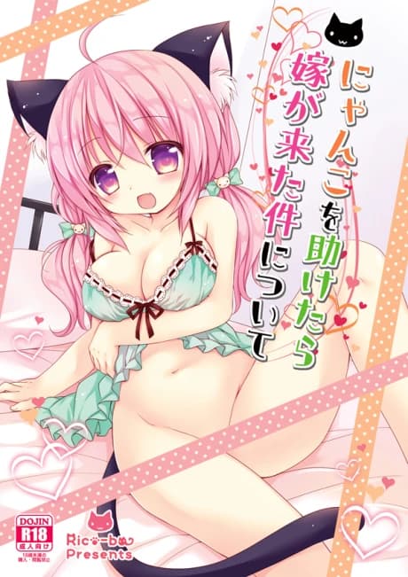Nyanko o Tasuketata Yome ga Kita Ken ni Tsuite