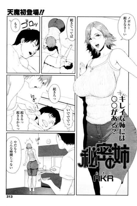 Himitsu no Ane