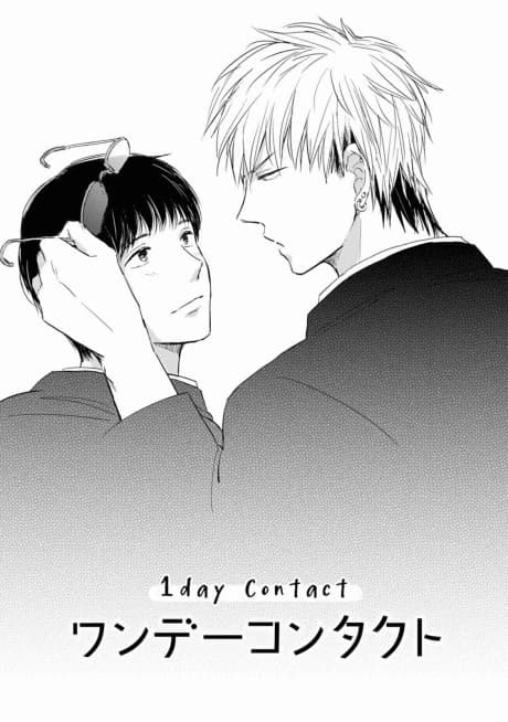 1 day Contact