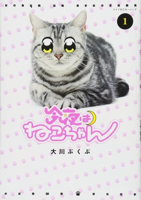 Konya wa Neko-chan