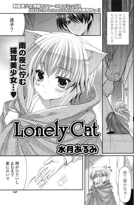 Lonely Cat