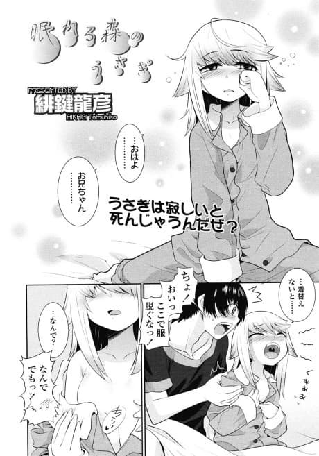 Nemureru Mori no Usagi